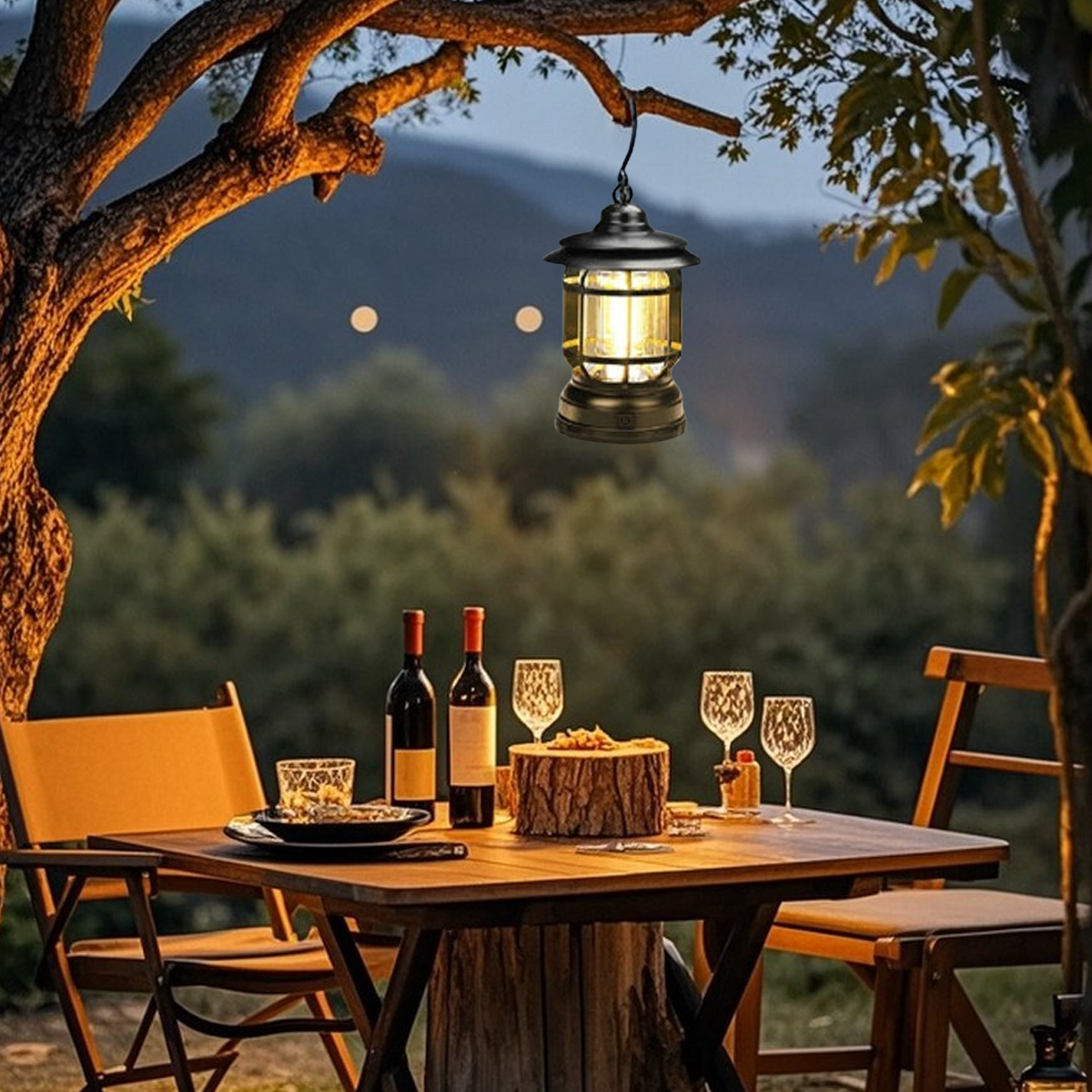 Vintage Outdoor Pathway Lights - Black/White