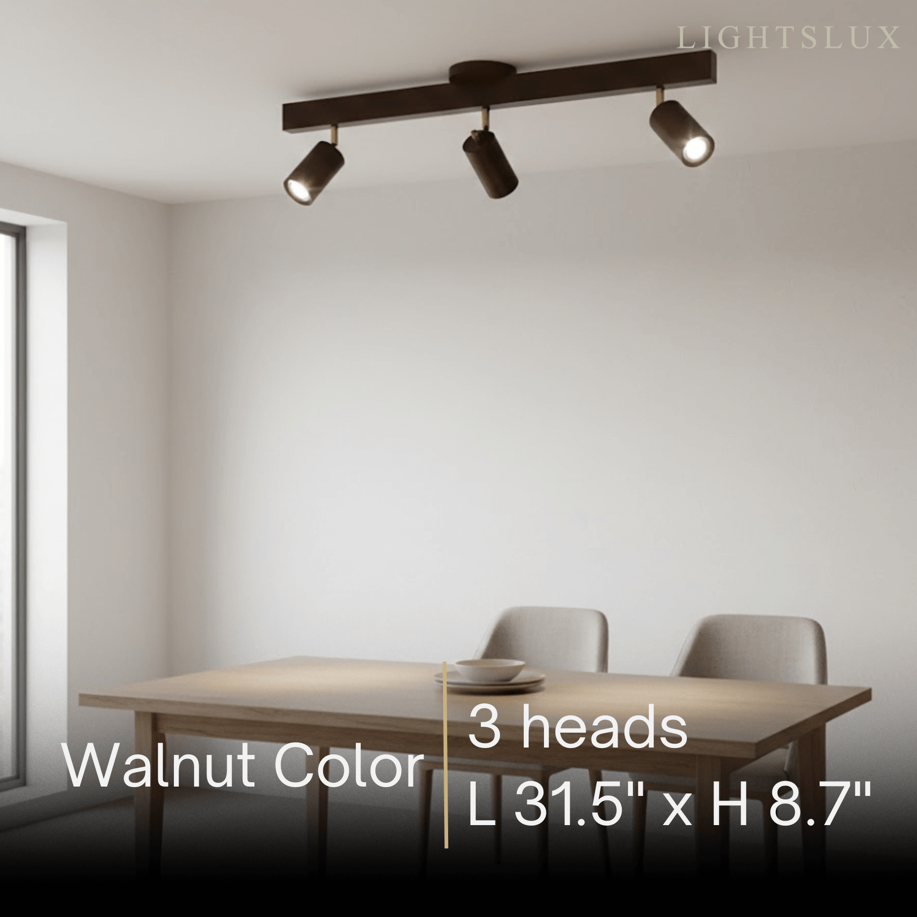 Modern Track Light