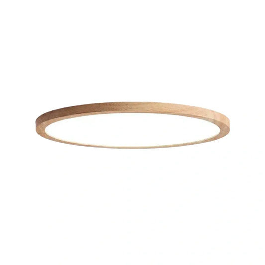 Modern Round Dimmable Ceiling Light