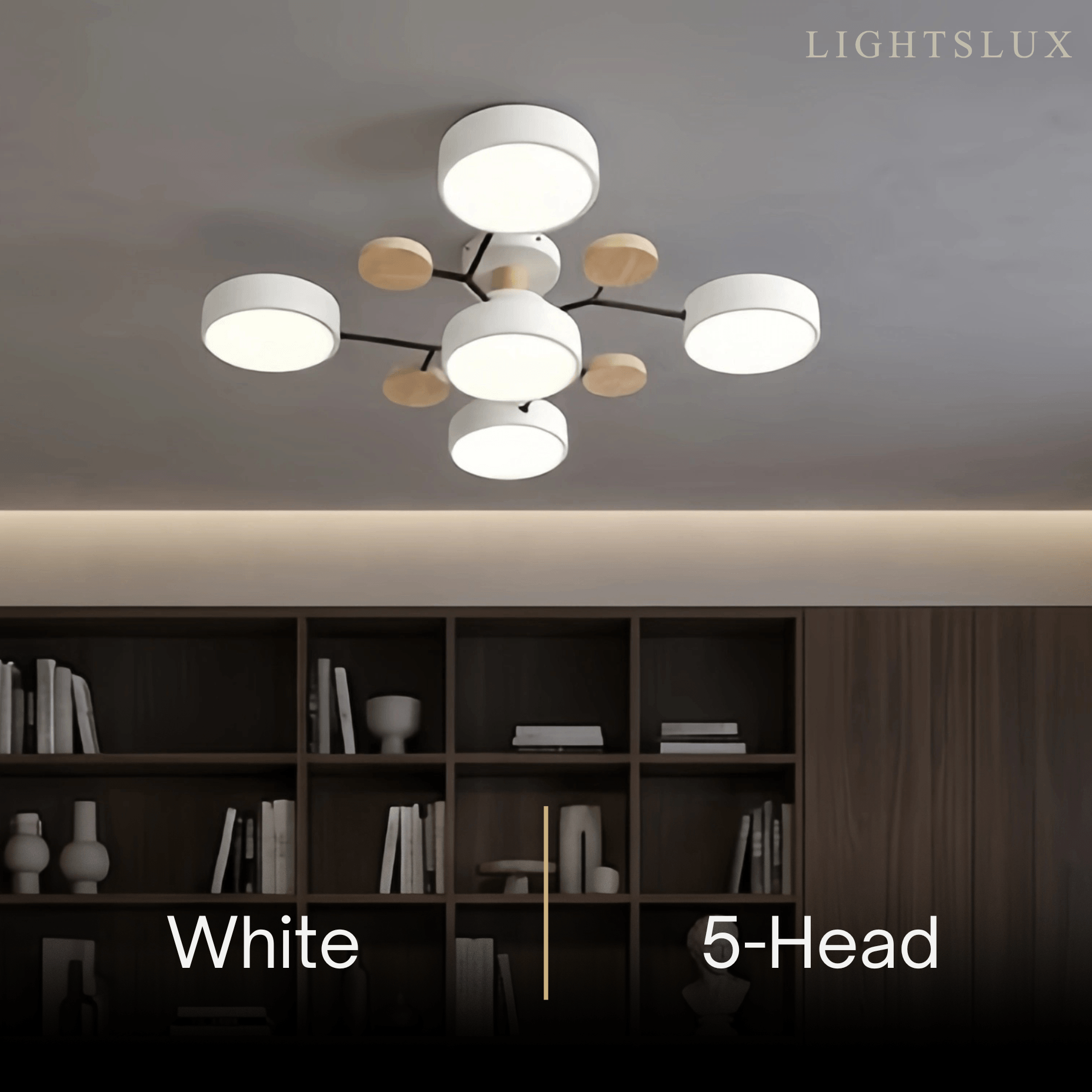 Modern_Round_Ceiling_Light