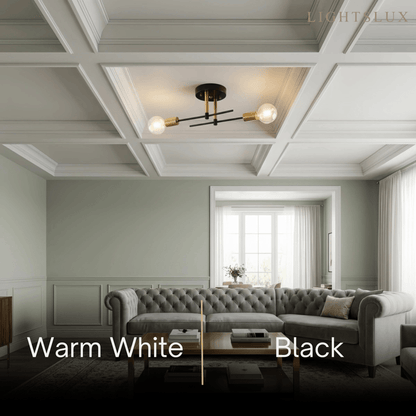 Modern Globe Ceiling Light