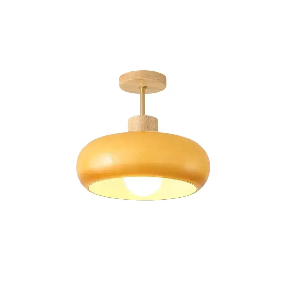  Modern Glass LED Ceiling Light