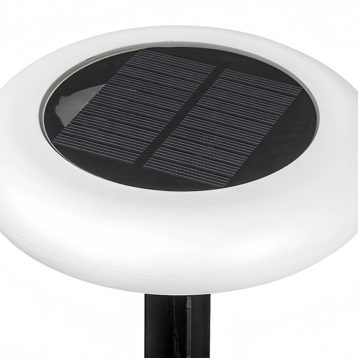 Modern_Rock-Shaped_Pathway_Light_Solar
