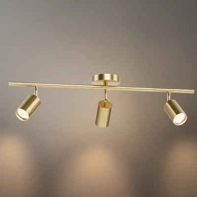 Minimalist Linear Track Light