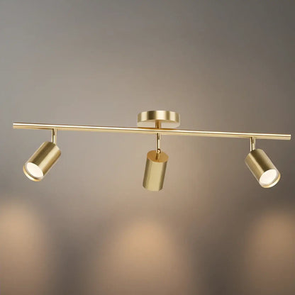 Minimalist Linear Track Light