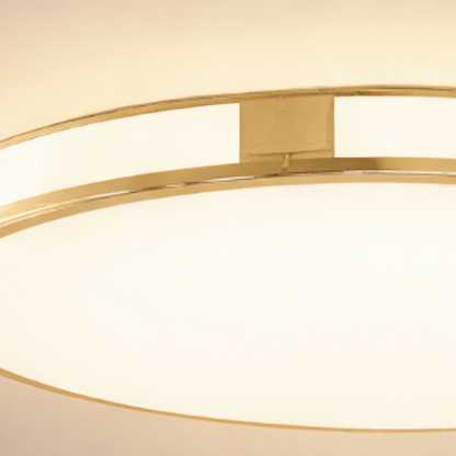 Excelis Crystal Accent Ceiling Light