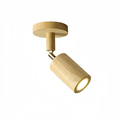 Modern Track Light 