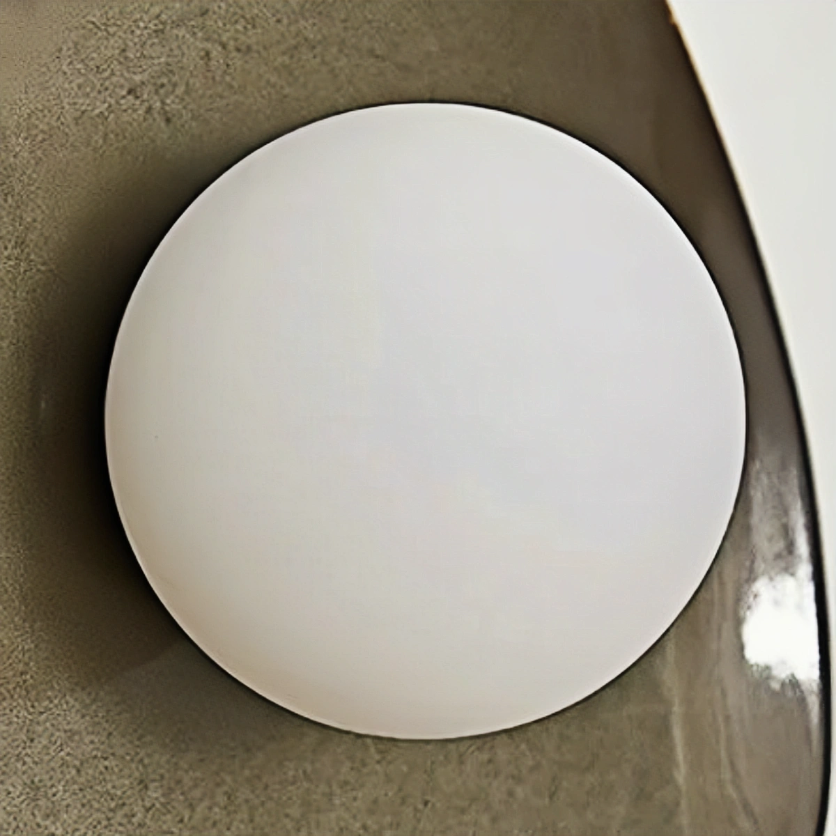 Modern Organic Wall Light