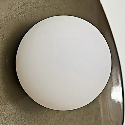 Modern Organic Wall Light