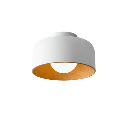Modern Industrial Sphere Ceiling Light