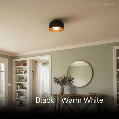 Modern Industrial Sphere Ceiling Light