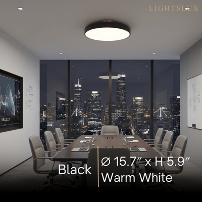 Modern Flush Mount Ceiling Light