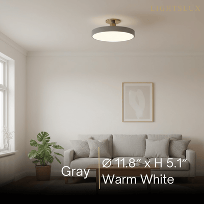 Modern Flush Mount Ceiling Light