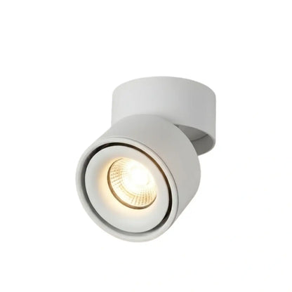 Arcato Modern Cylindrical Ceiling Light