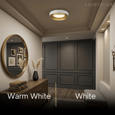 Excelis Modern Ring Ceiling Light