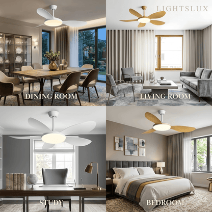 Zenno Modern Ceiling Fan Light 