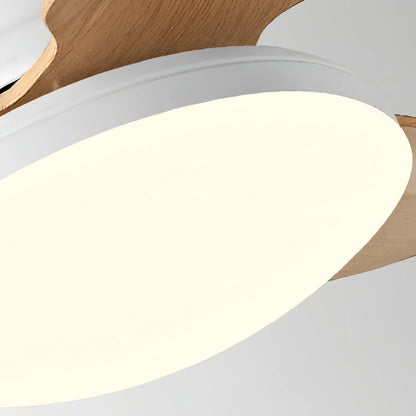 Vivara Modern Ceiling Fan Light