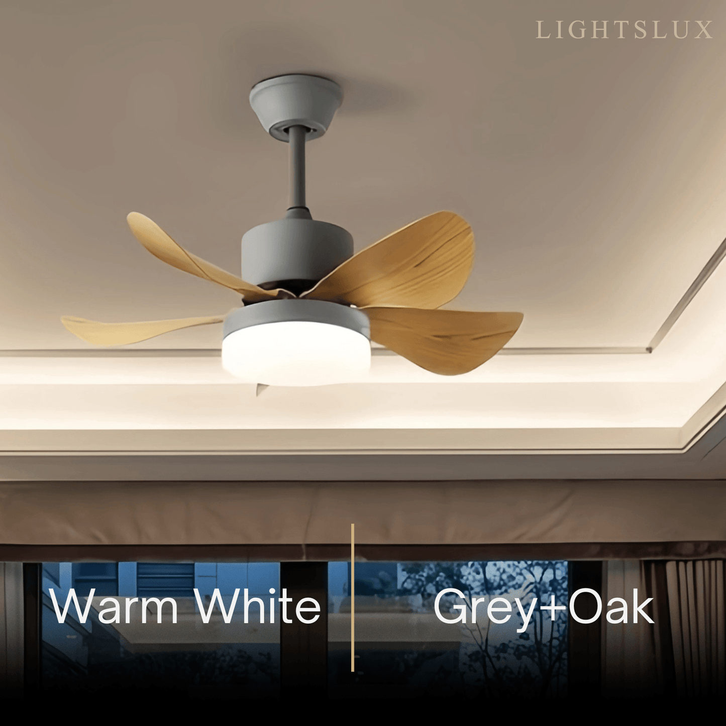Zenno Minimalist Ceiling Fan Light