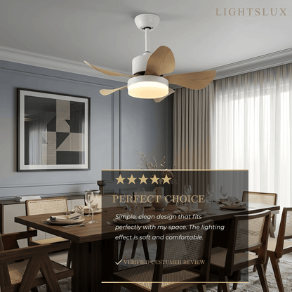 Zenno Minimalist Ceiling Fan Light