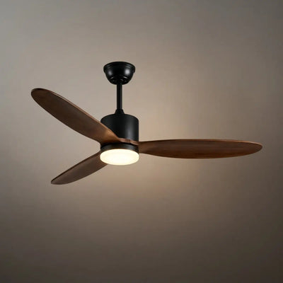 Vivara  Minimalist Ceiling Fan Light