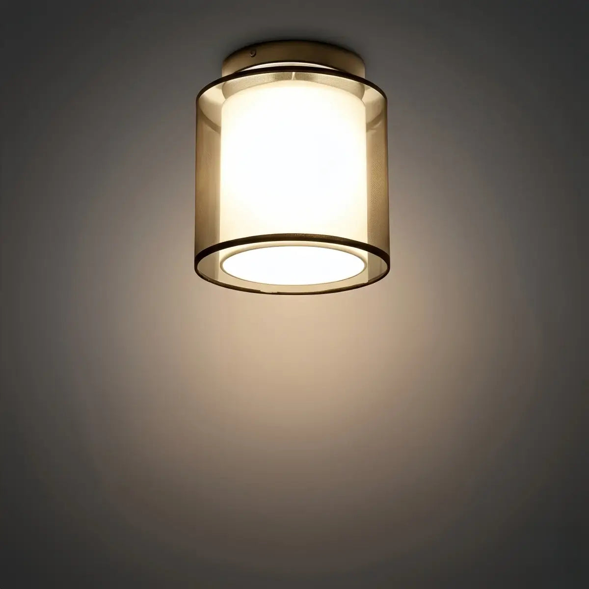 Modern_Flush_Mount_Ceiling_Light