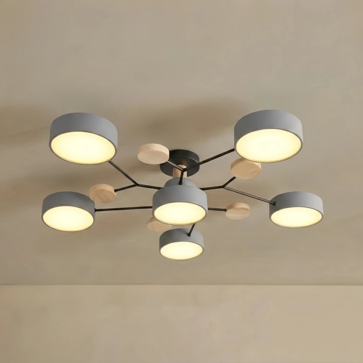 Ceiling Light - Multi-Head for bedroom 
Living Room